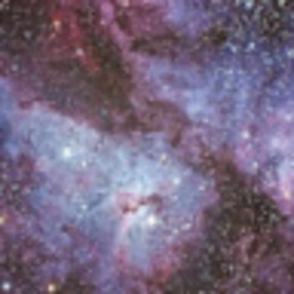 Meet your Posher, Julianne